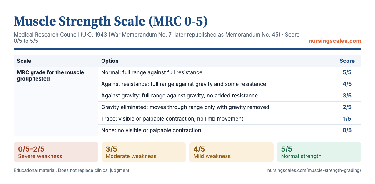 Muscle Strength Scale (MRC 0-5) chart with items, points and interpretation