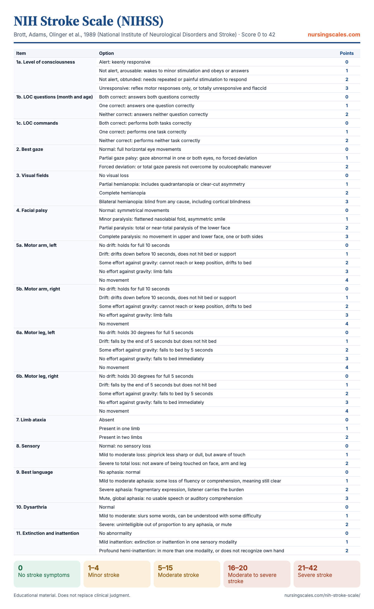 NIH Stroke Scale (NIHSS) chart with items, points and interpretation